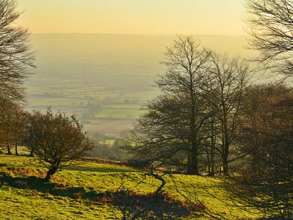 Autumn at Tilbury Farm